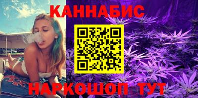 прущие грибы Магадан