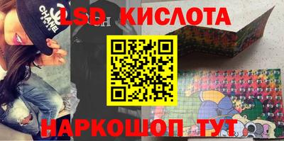 шишки Лесной