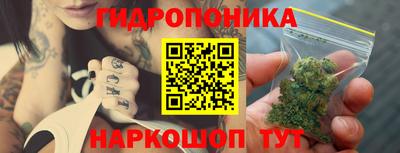 шишки Лесной