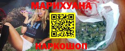 шишки Лесной