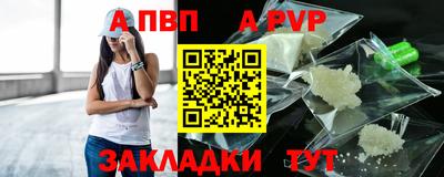 шишки Лесной