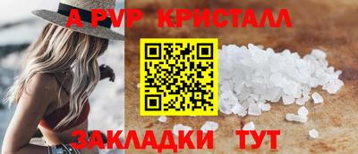 шишки Лесной